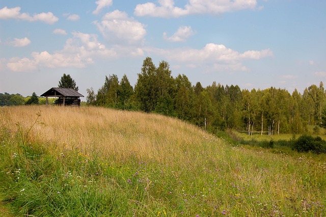 zahrada u bungalovu