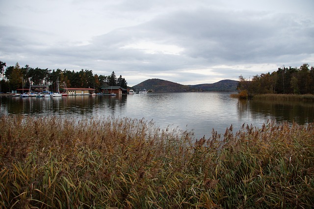 pohled na kopce a loděnici u Máchova jezera